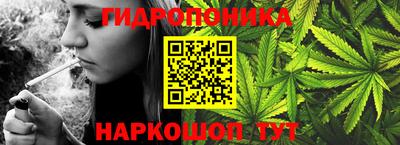 СК Краснодар